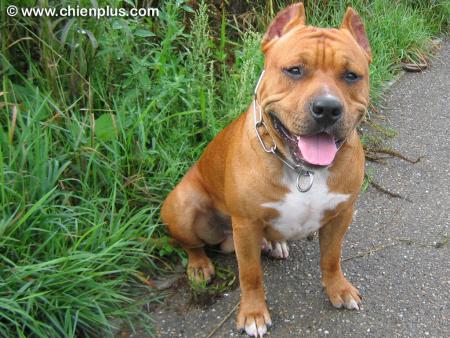 ssssssssstttttttttttttaaaaaaaaaaaaaaaaffffffffffffffff